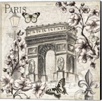 Framed Paris in Bloom II