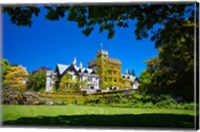 Framed Vancouver Island, Hately Gardens, Royal Roads