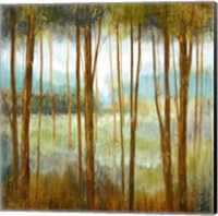 Framed Soft Forest I