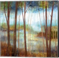 Framed Soft Forest II