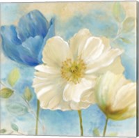 Framed Watercolor Poppies II (Blue/White)