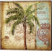 Framed Antique Nautical Palms II