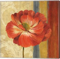 Framed Poppy Tapestry Stripes II