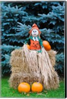 Framed Wisconsin Autumn haystack, Halloween decorations