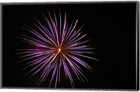 Framed Fireworks