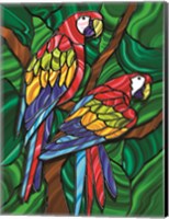 Framed Parrot B