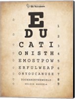 Framed Nelson Mandela Eye Chart I