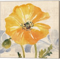 Framed Watercolor Poppies VI