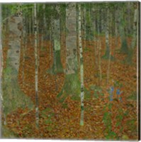 Framed Buchenwald (Beech Trees), 1903