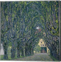 Framed Tree-Lined Road Leading To The Manor House At Kammer, 1912