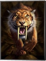 Framed Saber-toothed Tiger