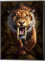 Framed Saber-toothed Tiger