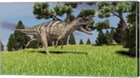 Framed Ceratosaurus