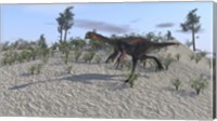 Framed Gigantoraptor