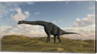 Framed Large Brachiosaurus in a Barren Evnironment