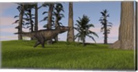 Framed Tyrannosaurus Rex in Grass