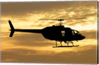 Framed Bell 206 utility helicopter