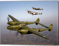 Framed Three Lockheed P-38 Lightnings