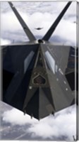 Framed F-117A Nighthawk