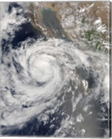 Framed Tropical Storm Emilia