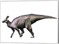 Framed Tsintaosaurus Dinosaur