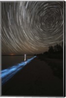 Framed Star Trails over Bioluminescence