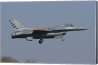 Framed F-16C Fighting Falcon of the Italian Air Force