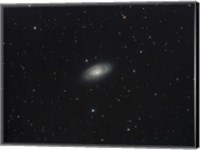 Framed Messier 64, the Black Eye Galaxy