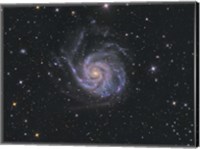 Framed Messier 101, Pinwheel Galaxy