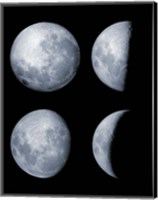 Framed Four Phases of the Moon