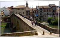 Framed Pedestrian Bridge over the Rio Arga, Puente la Reina, Navarra Region, Spain