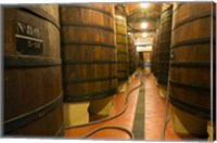 Framed Large Oak tanks holding wine, Bodega Muga Winery, Haro village, La Rioja, Spain