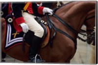 Framed Mounted Corp of Guardia Civil, Zaragoza, Aragon, Spain