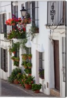 Framed Spain, Andalucia Region, Cadiz, Grazalema Potted plants by a home