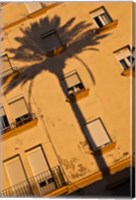 Framed Spain, Cadiz, Campo del Sur, Palm Shadow