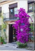 Framed Spain, Granada The entrance of Hotel America