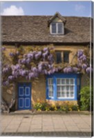 Framed Wisteria Covered Cottage, Broadway, Cotswolds, England