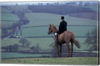 Framed Man on horse, Leicestershire, England