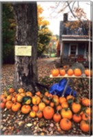 Framed Pumpkins For Sale in New England