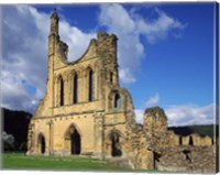 Framed Byland Abbey, North Yorkshire, England