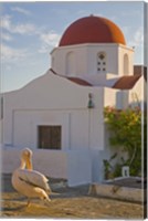 Framed White Pelican Preening, Hora, Mykonos, Greece