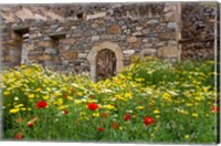 Framed Old building and wildflowers, Island of Spinalonga, Crete, Greece