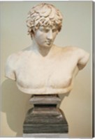 Framed Antinous Bust, Statue, Athens, Greece