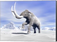 Framed Large Mammoth Walking Slowly on the Snowy Mountain