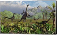 Framed Velociraptor Dinosaurs Attack a Camarasaurus