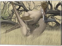 Framed Two Velociraptor's during MatingSseason
