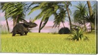 Framed Triceratops Dinosaur 9