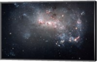 Framed Magellanic dwarf irregular galaxy NGC 4449 in the Constellation Canes Venatici