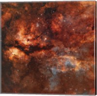 Framed IC 1318 and the Butterfly Nebula around star Gamma-Cygni