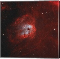 Framed Tadpole Nebula I